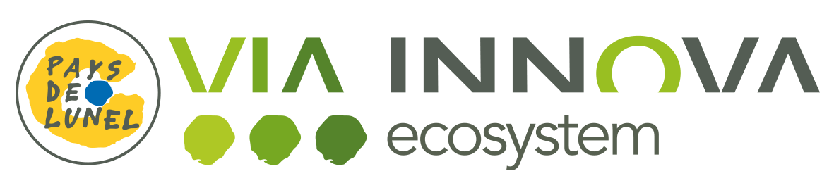logo Via Innova